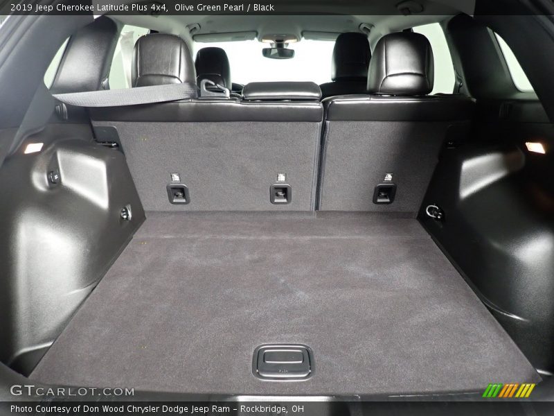 Olive Green Pearl / Black 2019 Jeep Cherokee Latitude Plus 4x4