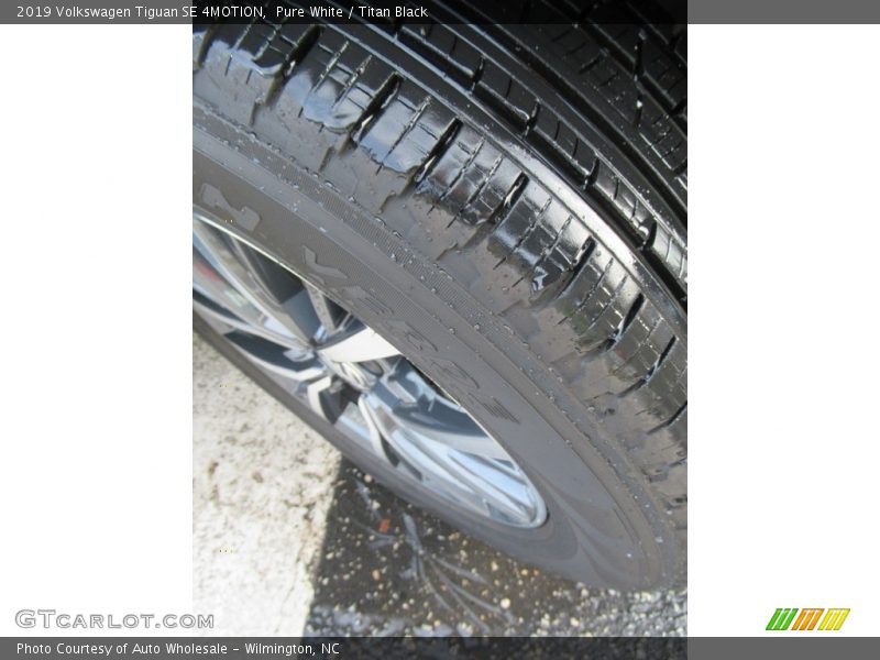 Pure White / Titan Black 2019 Volkswagen Tiguan SE 4MOTION