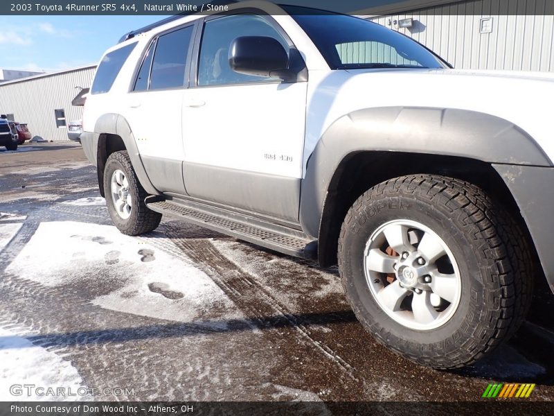 Natural White / Stone 2003 Toyota 4Runner SR5 4x4