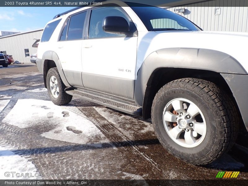 Natural White / Stone 2003 Toyota 4Runner SR5 4x4