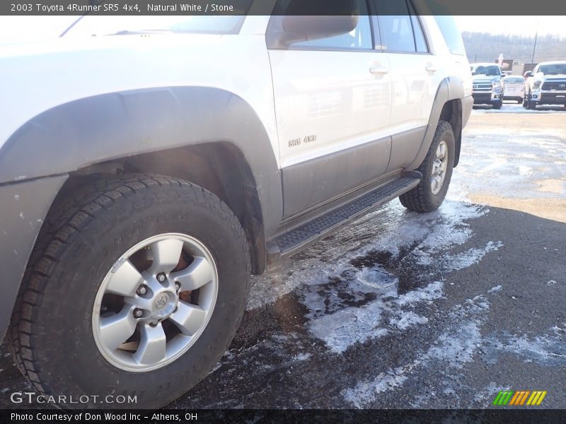 Natural White / Stone 2003 Toyota 4Runner SR5 4x4