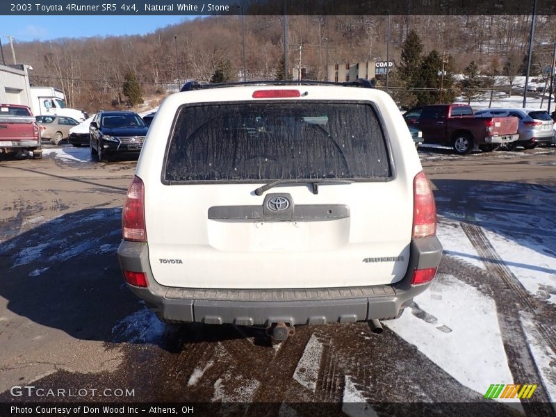 Natural White / Stone 2003 Toyota 4Runner SR5 4x4