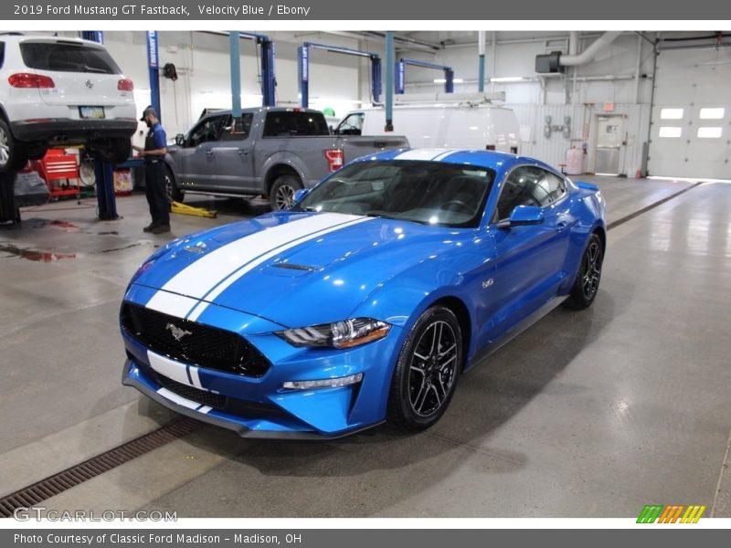 Velocity Blue / Ebony 2019 Ford Mustang GT Fastback