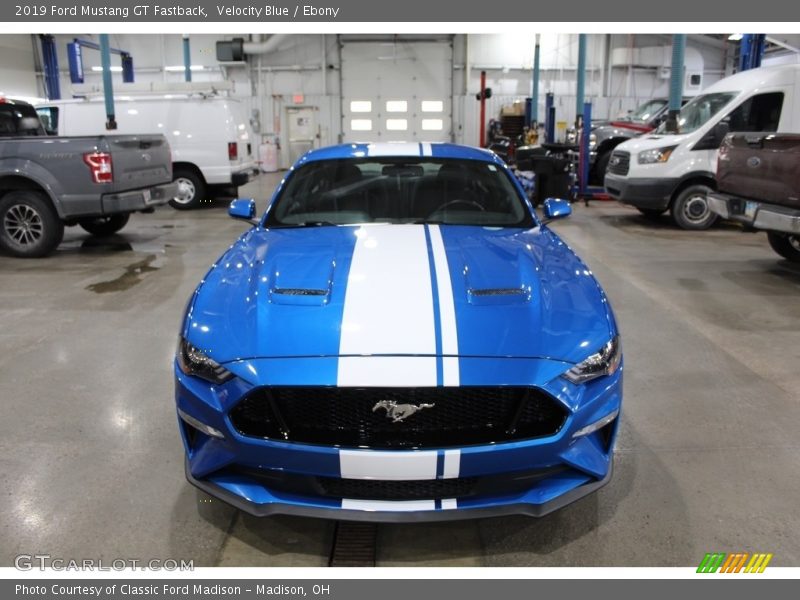 Velocity Blue / Ebony 2019 Ford Mustang GT Fastback