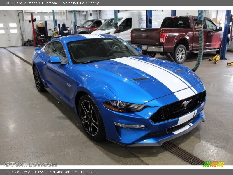 Velocity Blue / Ebony 2019 Ford Mustang GT Fastback