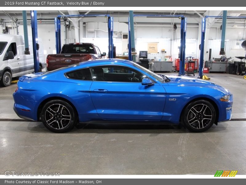 Velocity Blue / Ebony 2019 Ford Mustang GT Fastback