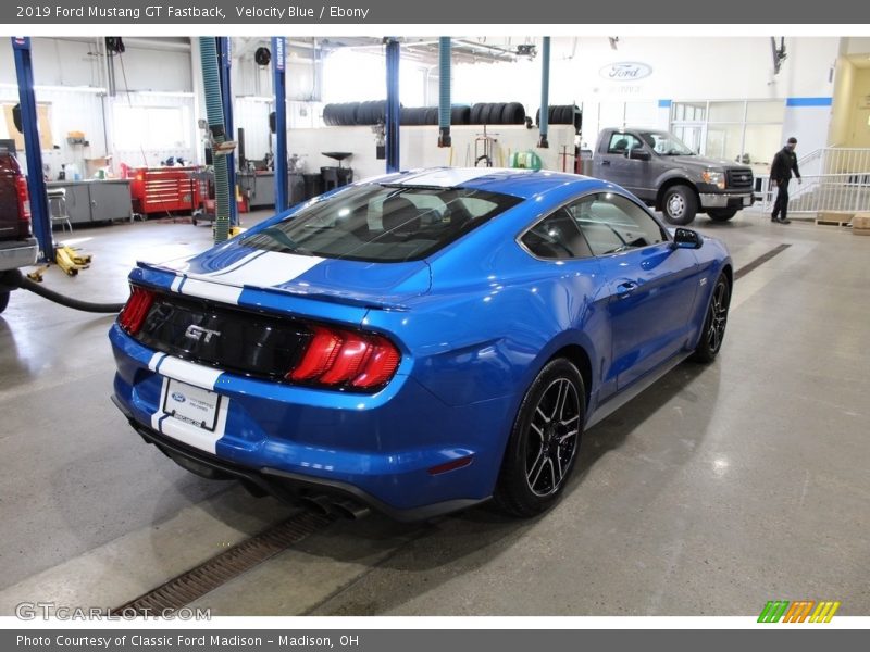 Velocity Blue / Ebony 2019 Ford Mustang GT Fastback