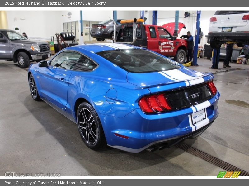 Velocity Blue / Ebony 2019 Ford Mustang GT Fastback