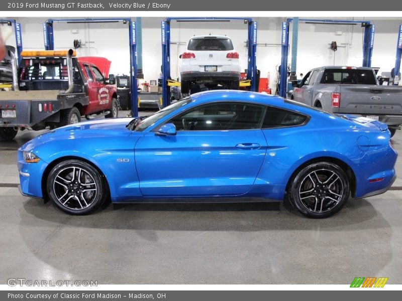  2019 Mustang GT Fastback Velocity Blue