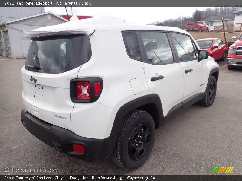 Alpine White / Black 2021 Jeep Renegade Sport