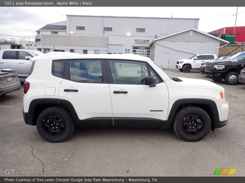 Alpine White / Black 2021 Jeep Renegade Sport