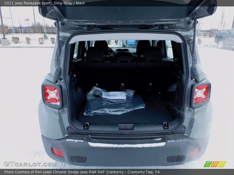 Sting-Gray / Black 2021 Jeep Renegade Sport