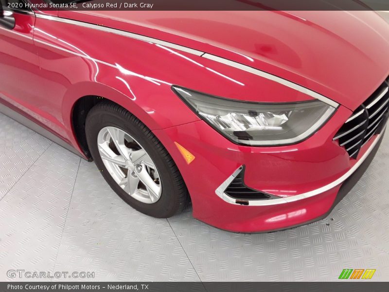 Calypso Red / Dark Gray 2020 Hyundai Sonata SE