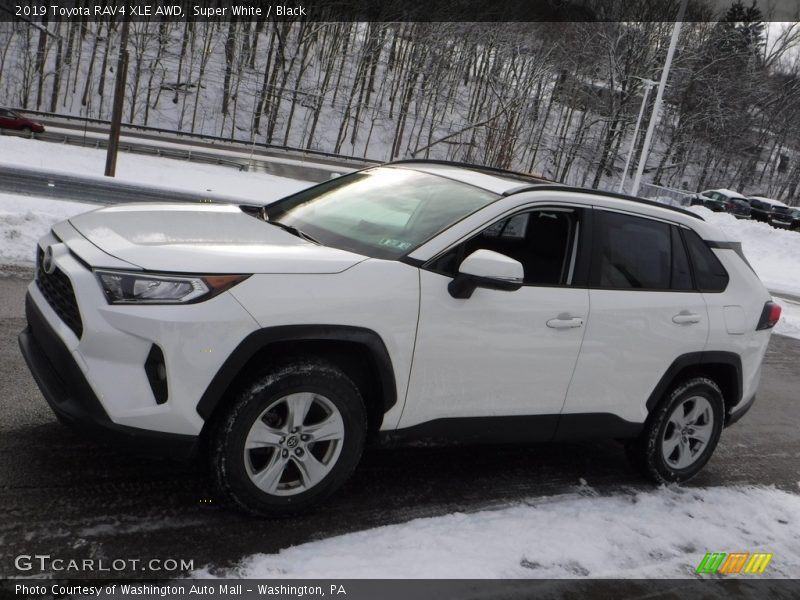 Super White / Black 2019 Toyota RAV4 XLE AWD
