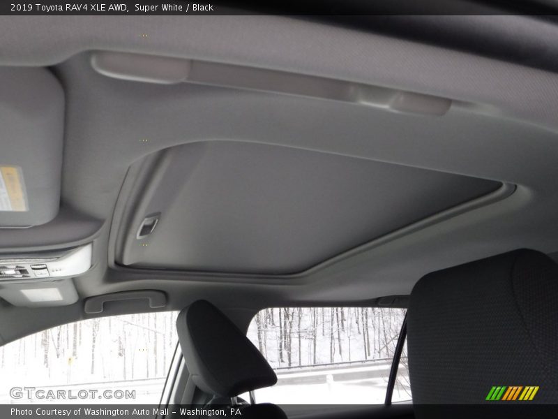 Super White / Black 2019 Toyota RAV4 XLE AWD