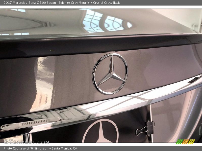 Selenite Grey Metallic / Crystal Grey/Black 2017 Mercedes-Benz C 300 Sedan