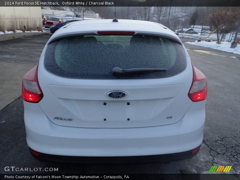 Oxford White / Charcoal Black 2014 Ford Focus SE Hatchback
