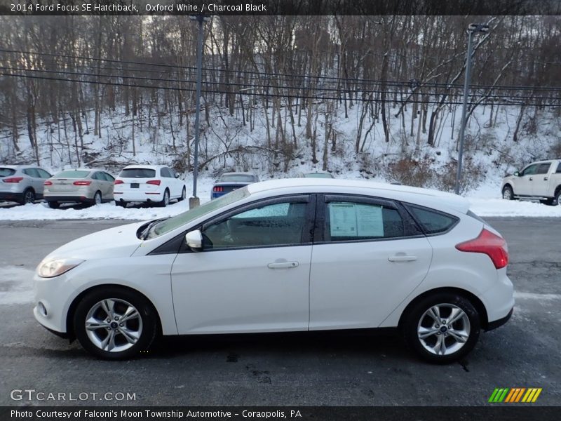 Oxford White / Charcoal Black 2014 Ford Focus SE Hatchback