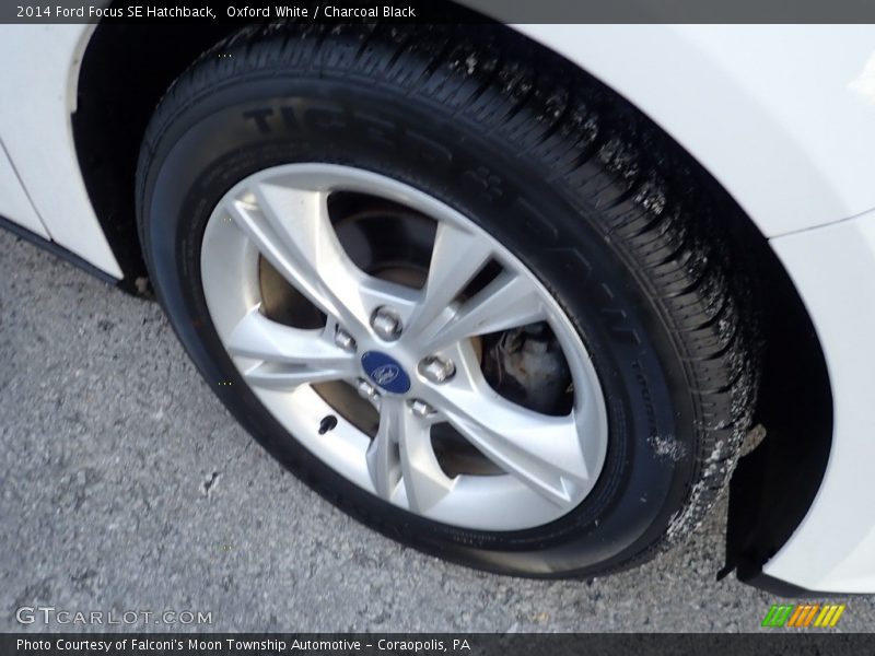 Oxford White / Charcoal Black 2014 Ford Focus SE Hatchback
