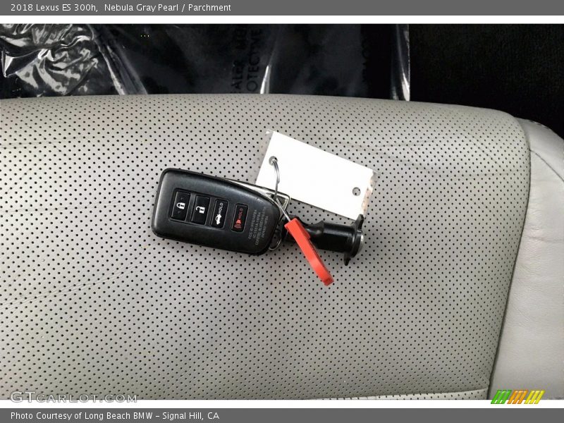 Keys of 2018 ES 300h
