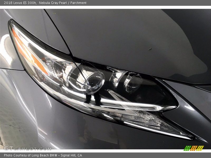 Nebula Gray Pearl / Parchment 2018 Lexus ES 300h