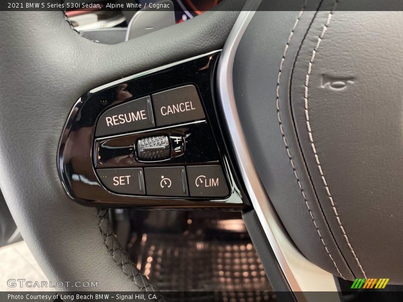  2021 5 Series 530i Sedan Steering Wheel