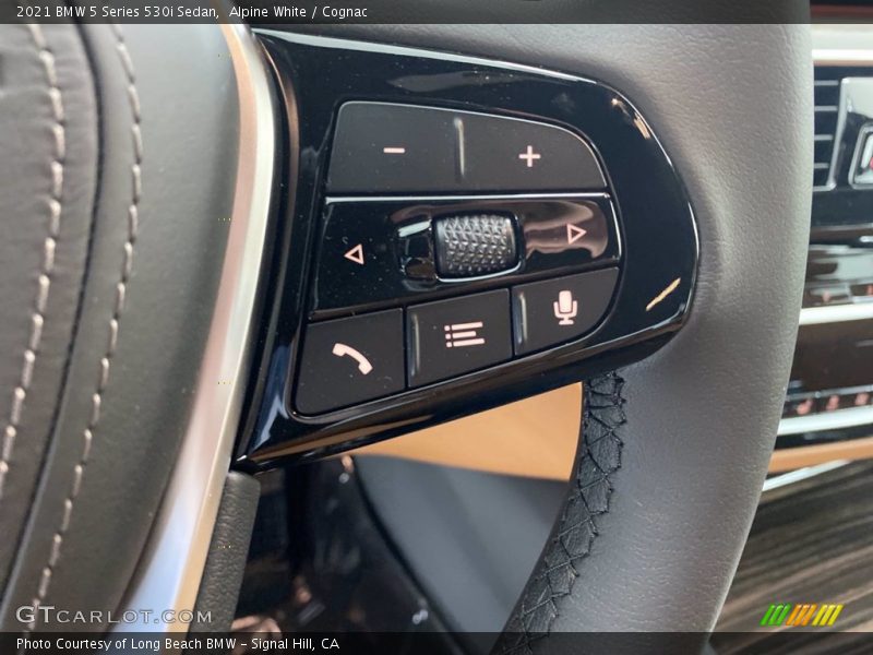  2021 5 Series 530i Sedan Steering Wheel