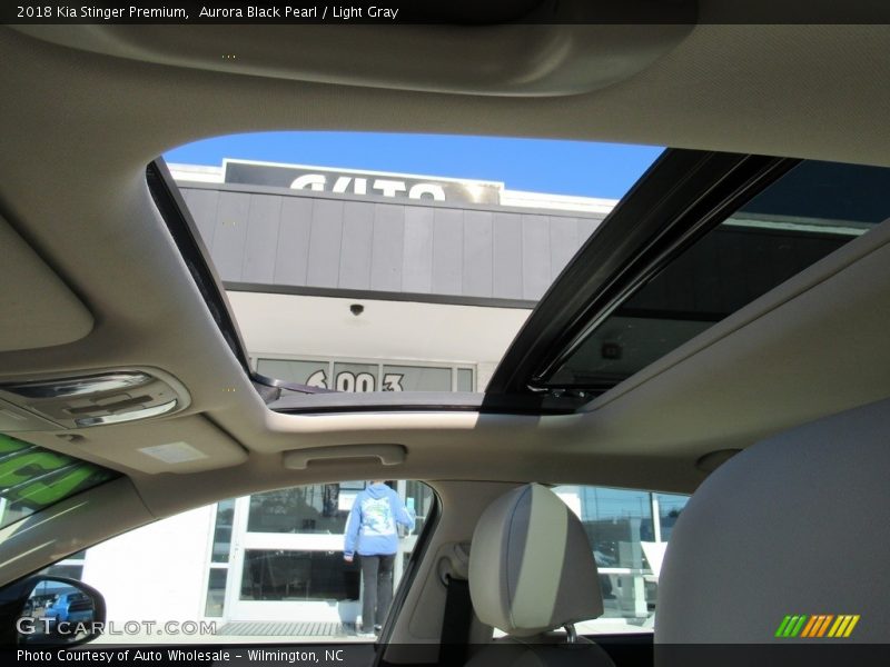 Aurora Black Pearl / Light Gray 2018 Kia Stinger Premium