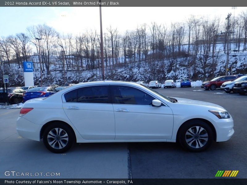 White Orchid Pearl / Black 2012 Honda Accord EX-L V6 Sedan