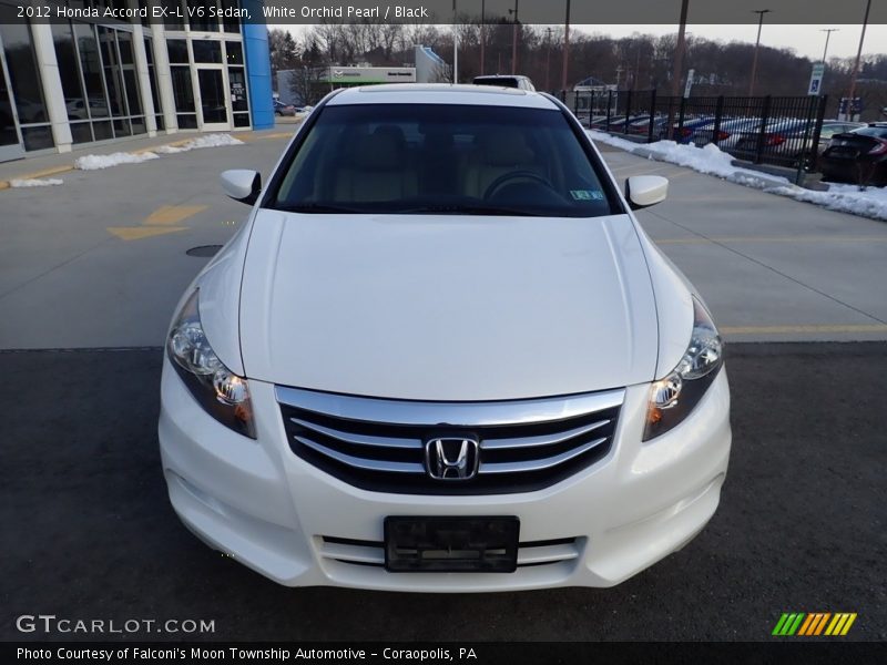 White Orchid Pearl / Black 2012 Honda Accord EX-L V6 Sedan