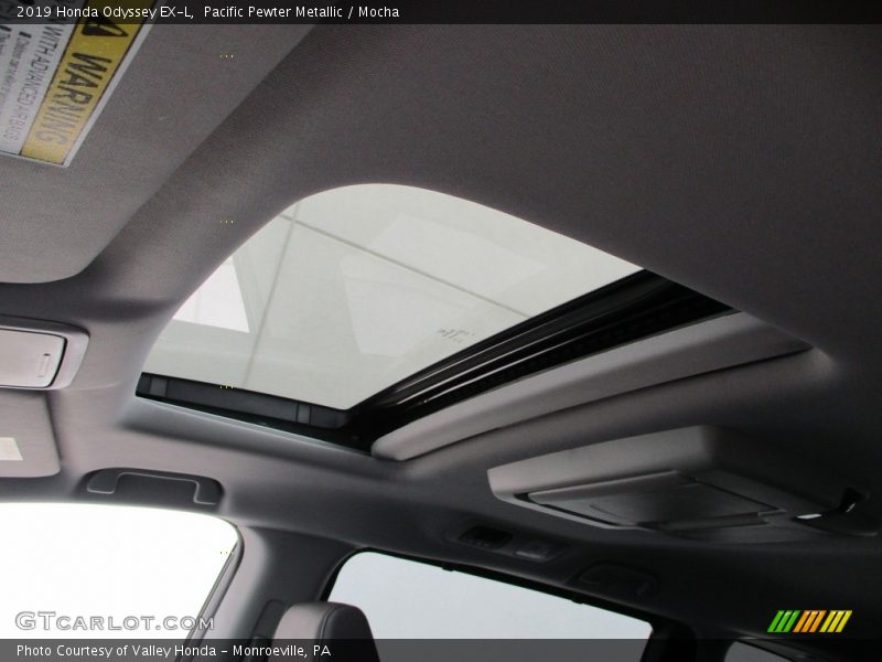 Pacific Pewter Metallic / Mocha 2019 Honda Odyssey EX-L