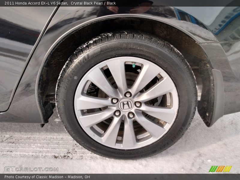 Crystal Black Pearl / Black 2011 Honda Accord EX-L V6 Sedan