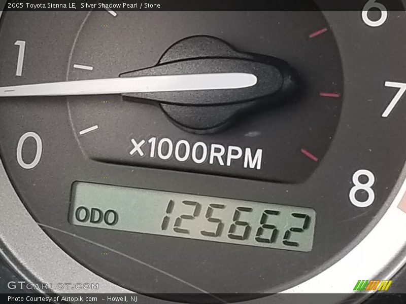 Silver Shadow Pearl / Stone 2005 Toyota Sienna LE