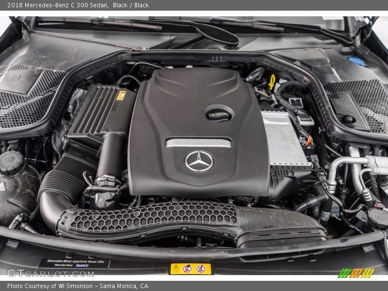 Black / Black 2018 Mercedes-Benz C 300 Sedan