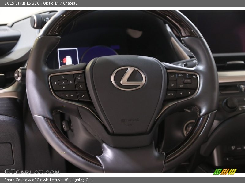 Obsidian / Chateau 2019 Lexus ES 350