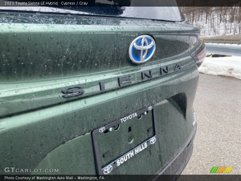 Cypress / Gray 2021 Toyota Sienna LE Hybrid