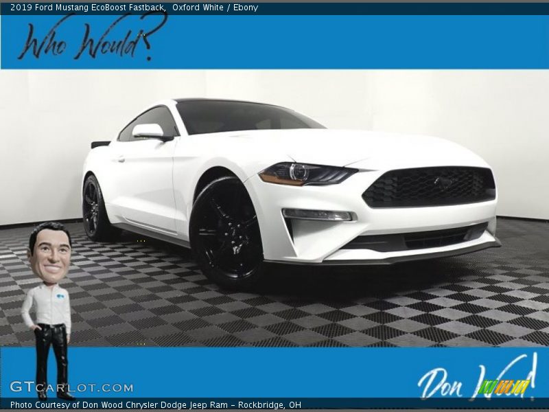 Oxford White / Ebony 2019 Ford Mustang EcoBoost Fastback