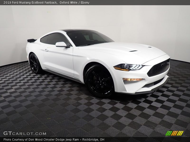 Oxford White / Ebony 2019 Ford Mustang EcoBoost Fastback