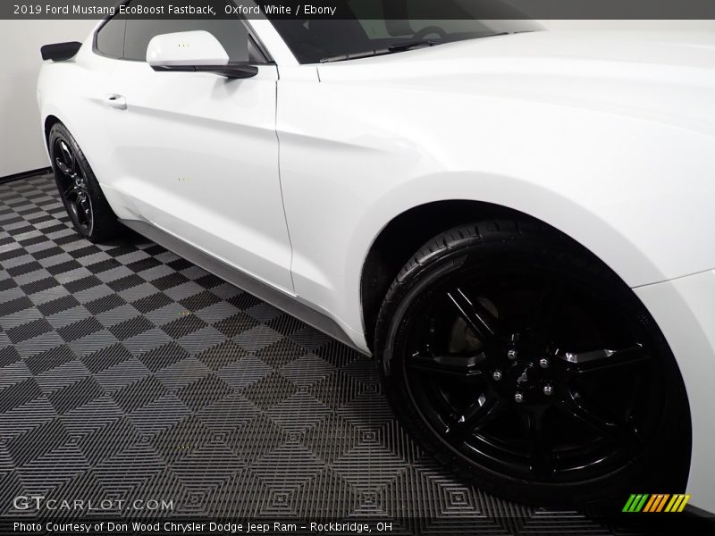 Oxford White / Ebony 2019 Ford Mustang EcoBoost Fastback