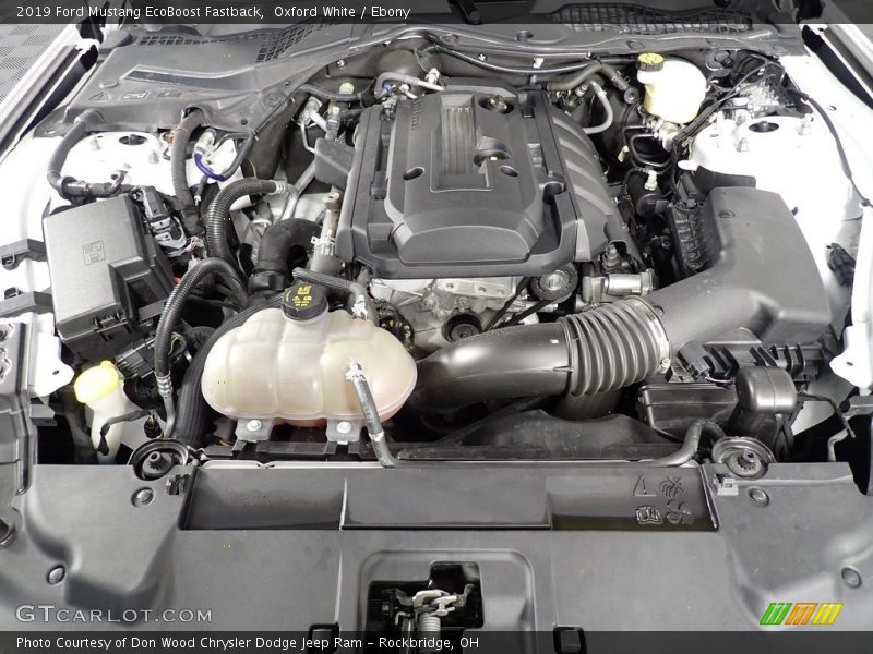 Oxford White / Ebony 2019 Ford Mustang EcoBoost Fastback