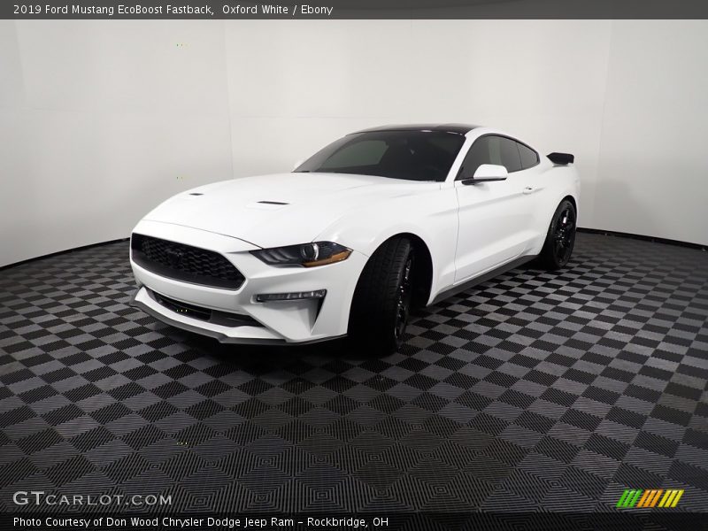 Oxford White / Ebony 2019 Ford Mustang EcoBoost Fastback