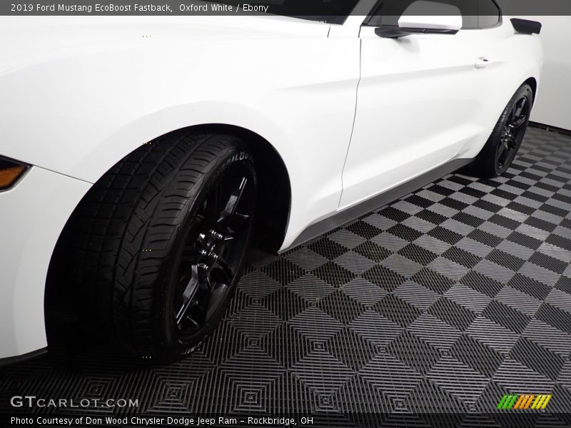 Oxford White / Ebony 2019 Ford Mustang EcoBoost Fastback