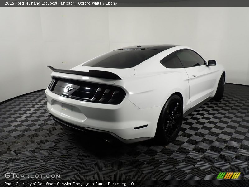 Oxford White / Ebony 2019 Ford Mustang EcoBoost Fastback