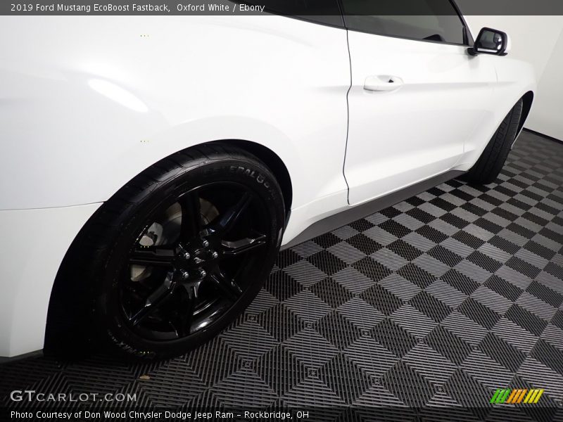Oxford White / Ebony 2019 Ford Mustang EcoBoost Fastback