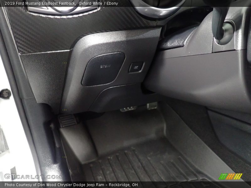 Oxford White / Ebony 2019 Ford Mustang EcoBoost Fastback