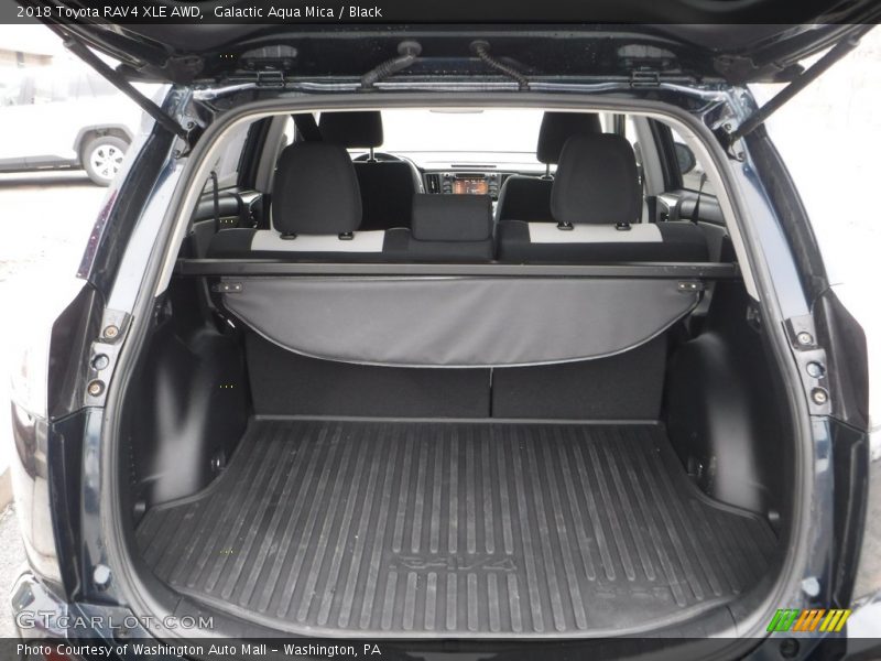 Galactic Aqua Mica / Black 2018 Toyota RAV4 XLE AWD