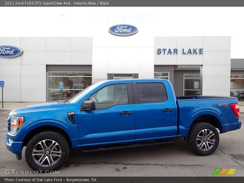 Velocity Blue / Black 2021 Ford F150 STX SuperCrew 4x4