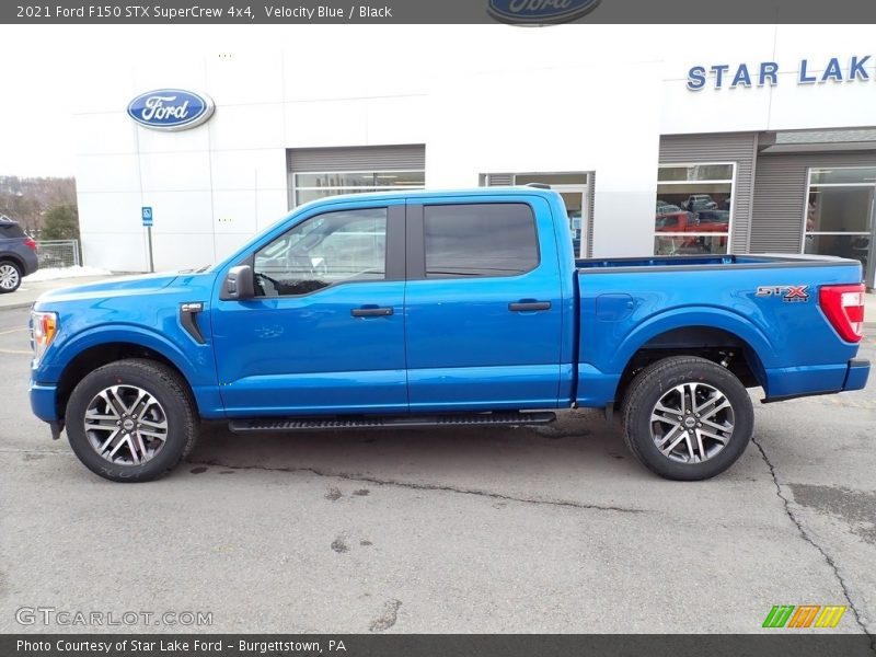 Velocity Blue / Black 2021 Ford F150 STX SuperCrew 4x4
