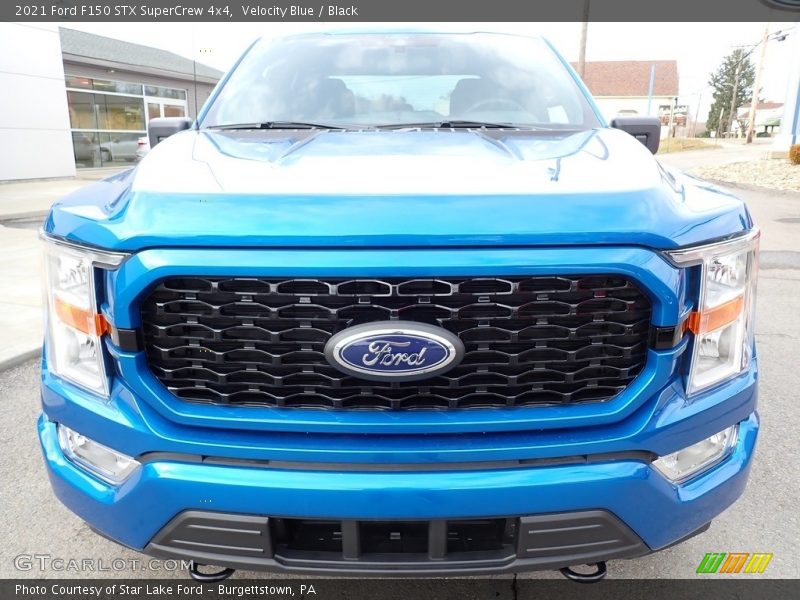 Velocity Blue / Black 2021 Ford F150 STX SuperCrew 4x4