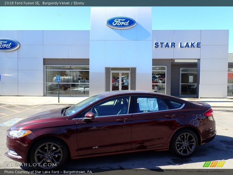 Burgundy Velvet / Ebony 2018 Ford Fusion SE